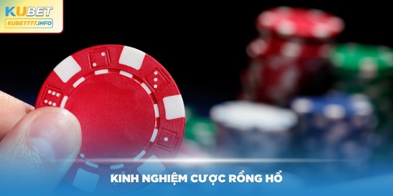 Kinh nghiệm cược Rồng Hổ siêu đỉnh từ Kubet